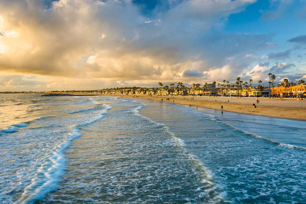 Cambria Hotel & Suites Anaheim Resort Area Удобства фото